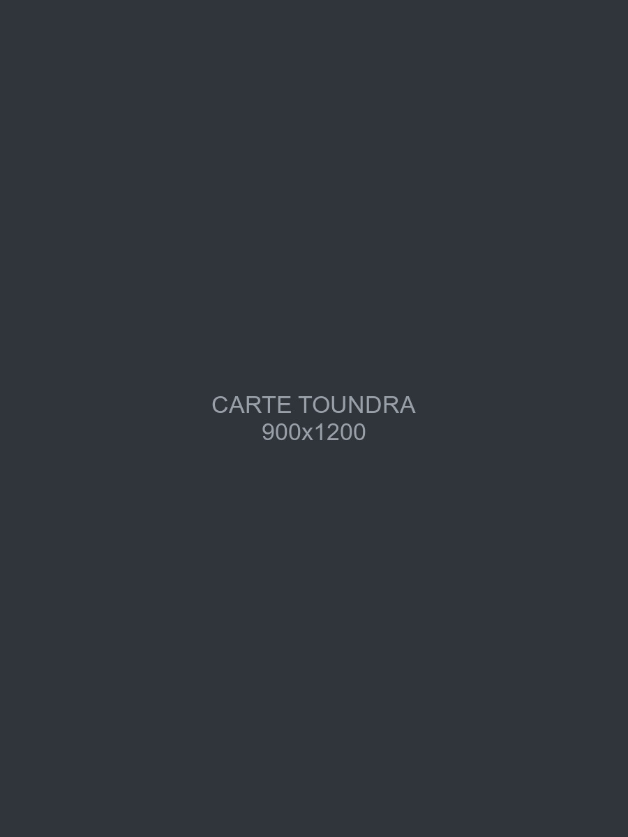 Toundra, femelle gris-loup foncé, debout dans l'herbe haute