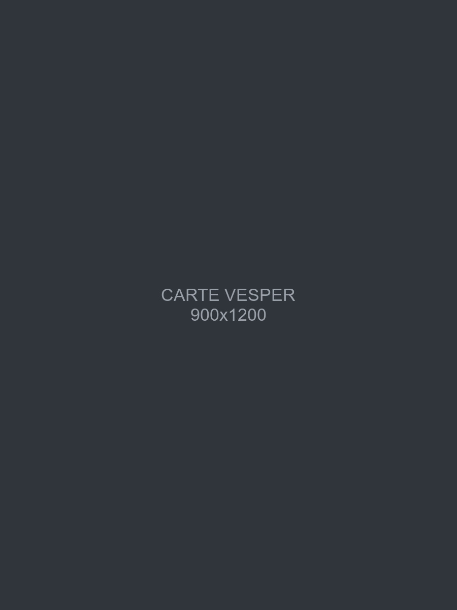 Vesper, jeune femelle gris-loup, tête penchée, oreilles dressées