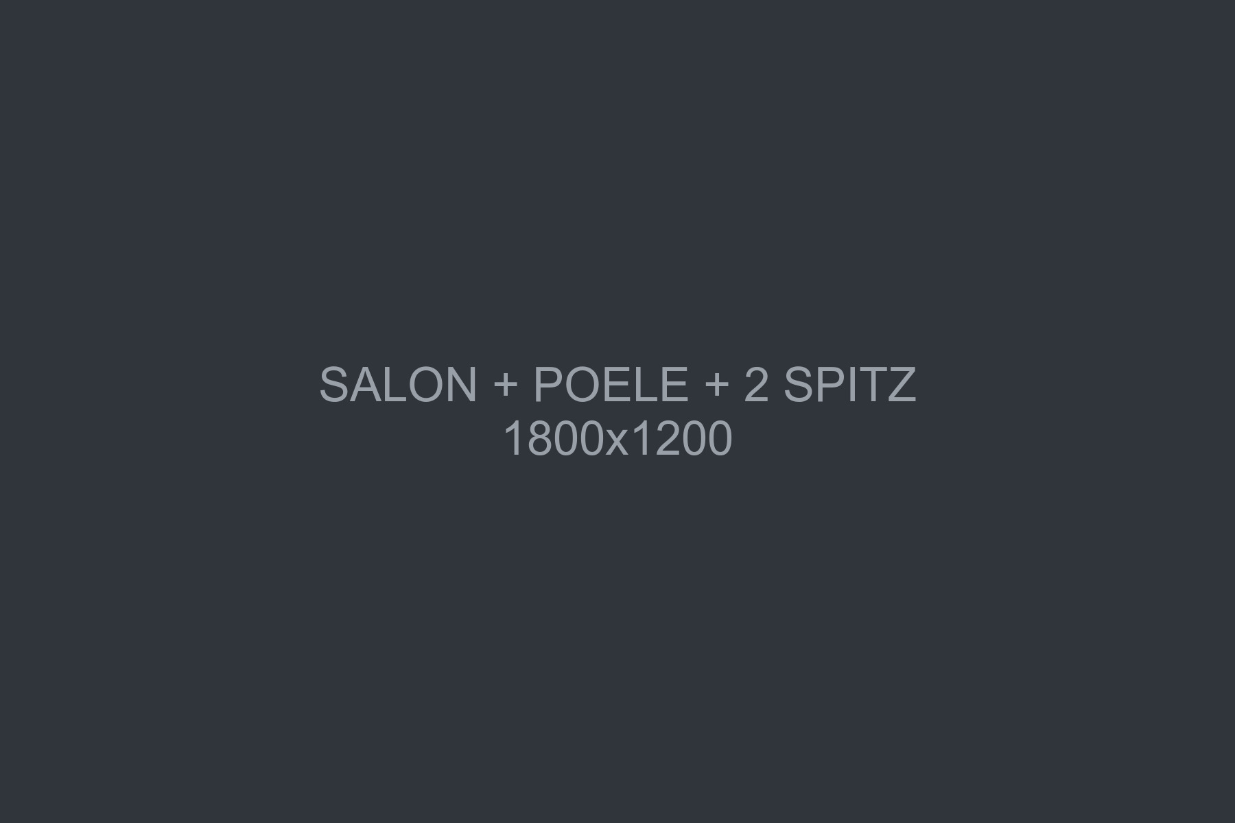 Le salon de la ferme, deux spitz couchés près du poêle à bois