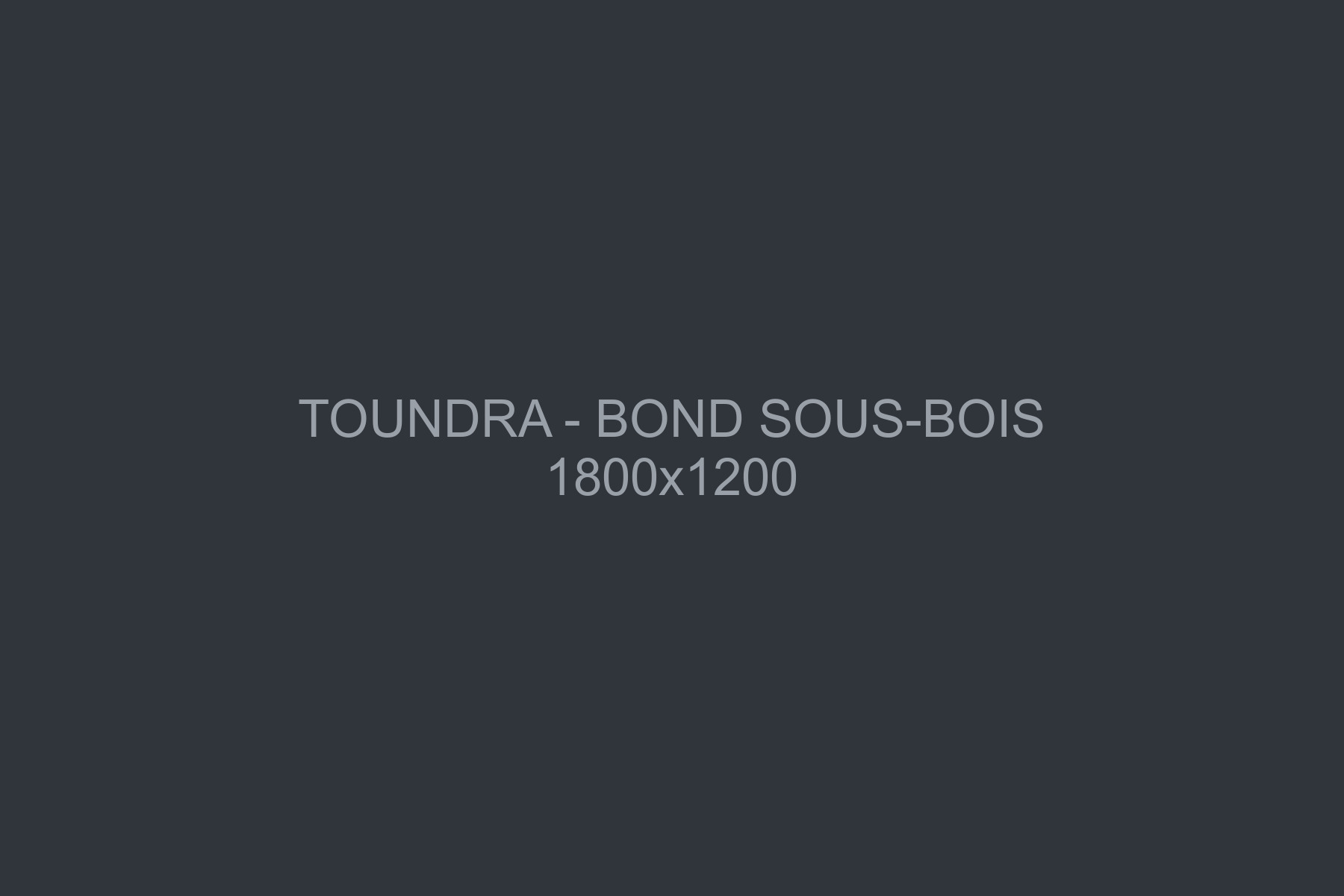 Toundra en plein bond par-dessus un tronc couché, sous-bois de Chartreuse